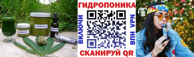 Canna-Cookies марихуана  Купить закладки  Омутнинск 