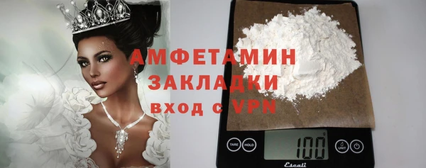 PSILOCYBIN Бородино