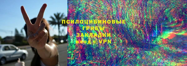 PSILOCYBIN Бородино