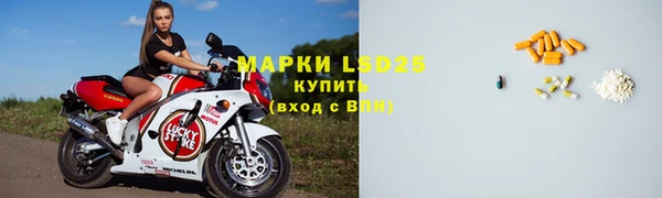 PSILOCYBIN Бородино