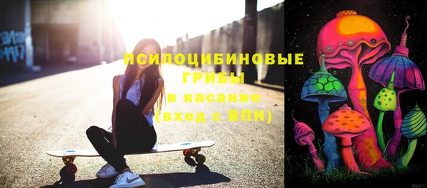 PSILOCYBIN Бородино