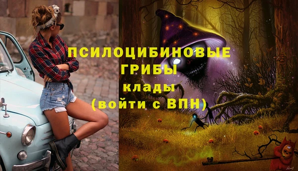мяу мяу мука Семёнов